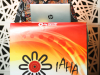 IAHA Gala Dinner (Low Res JPEGs)-15